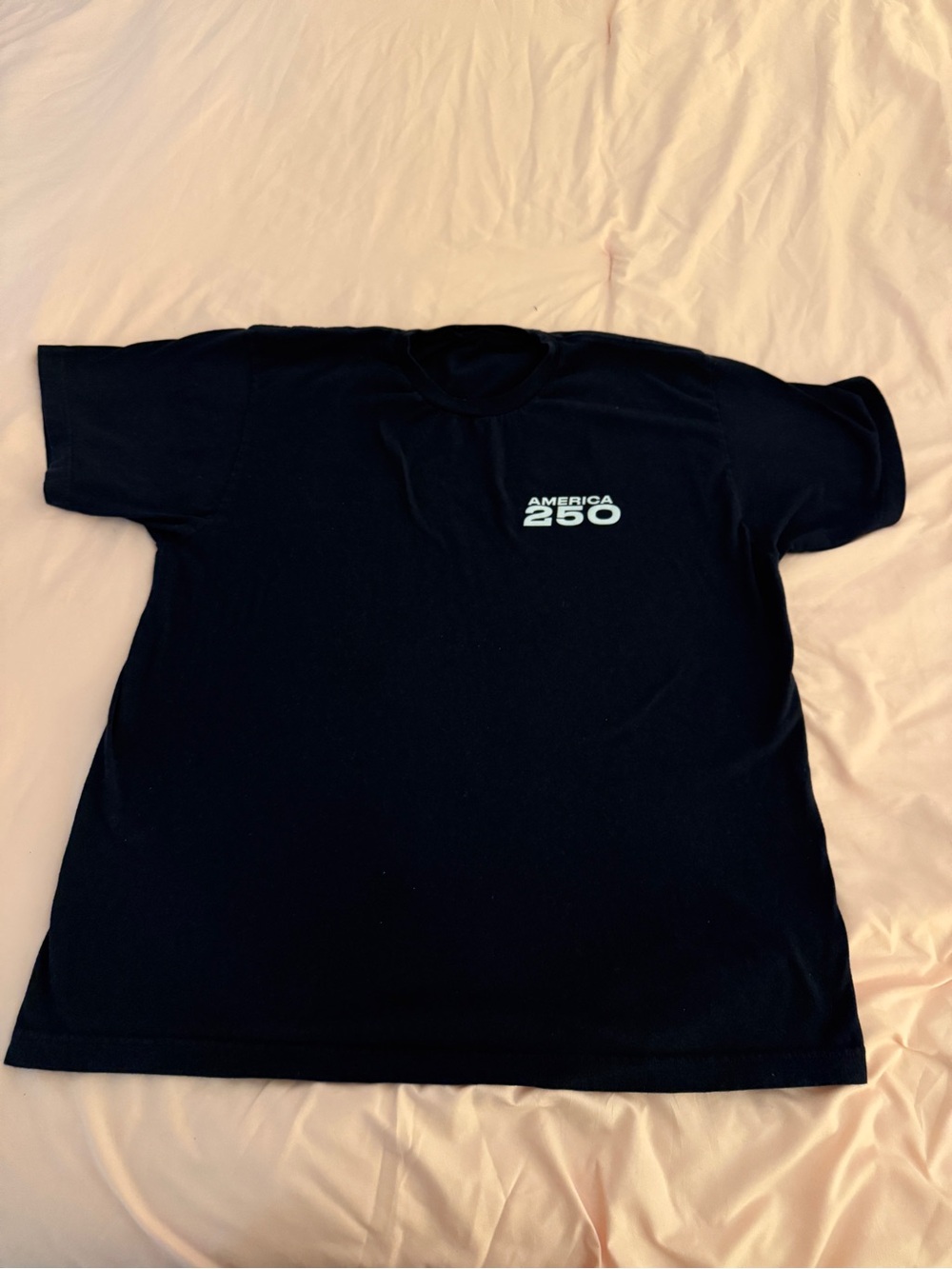 America 250 Black Graphic Men's TโShirt
